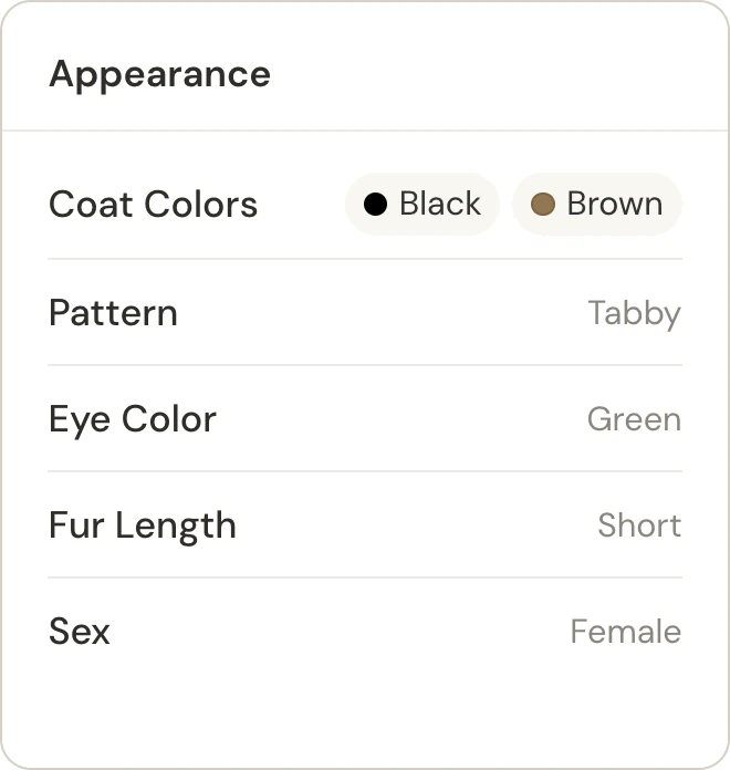 Appearance card with coat colours, pattern, eye colour, fur length and sex.
