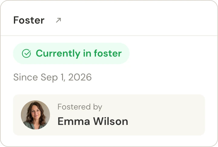 Foster status with the placement start date and carer.