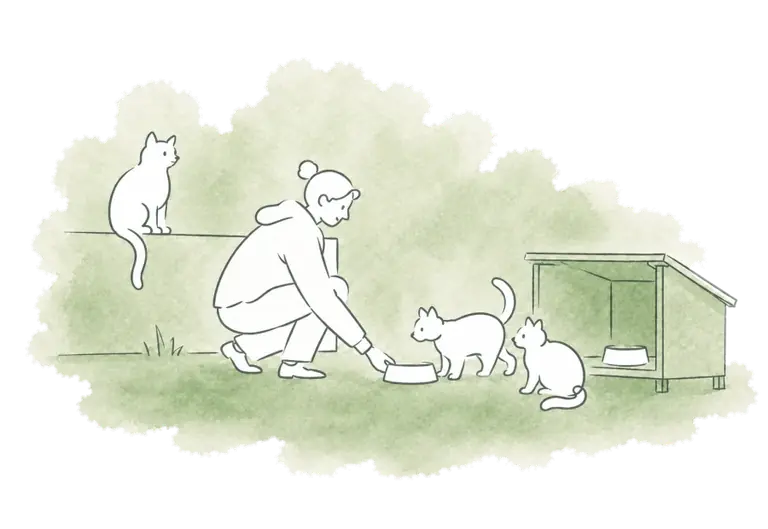 A caregiver tends a community-cat colony.
