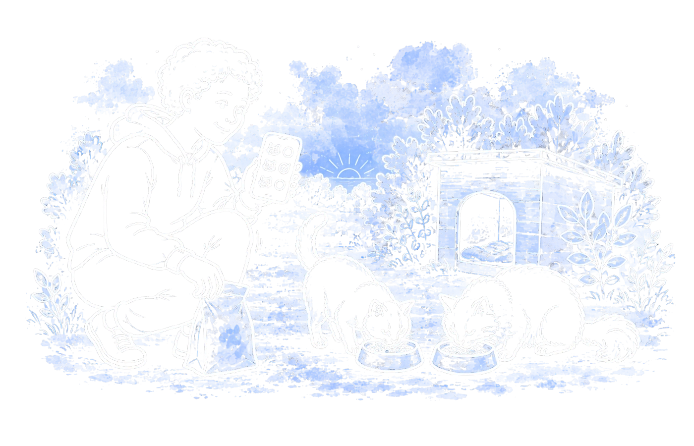 A volunteer checks cats off on a phone during an early morning feeding round.