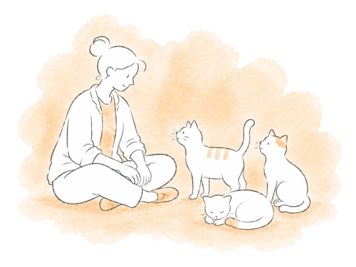 A volunteer studies three cats with different coat markings.