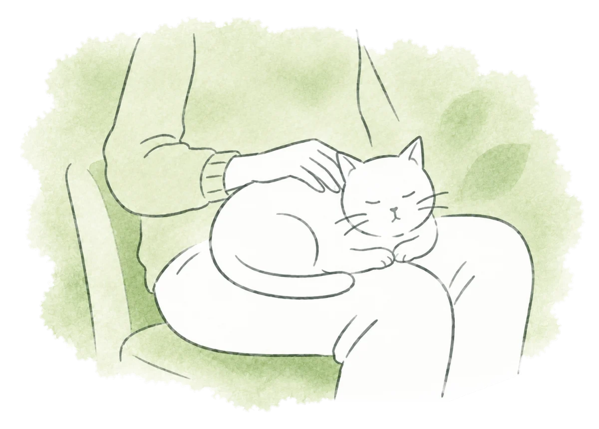 A cat curls up on an adopter’s lap.