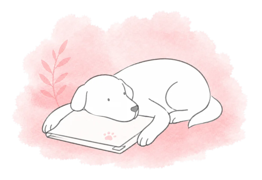 A dog rests its chin on its own paw-marked folder.