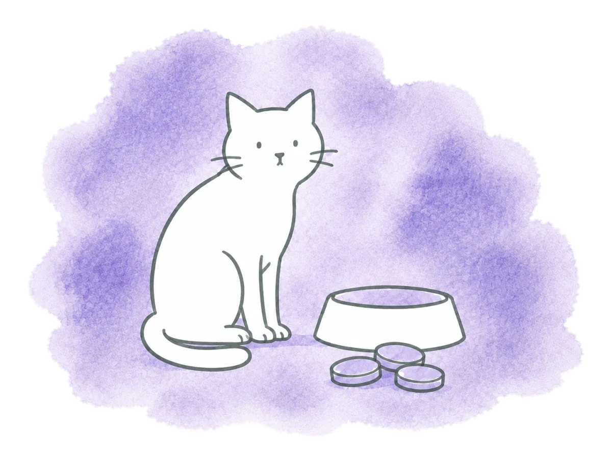 A cat sits beside its own bowl and a small pile of coins.