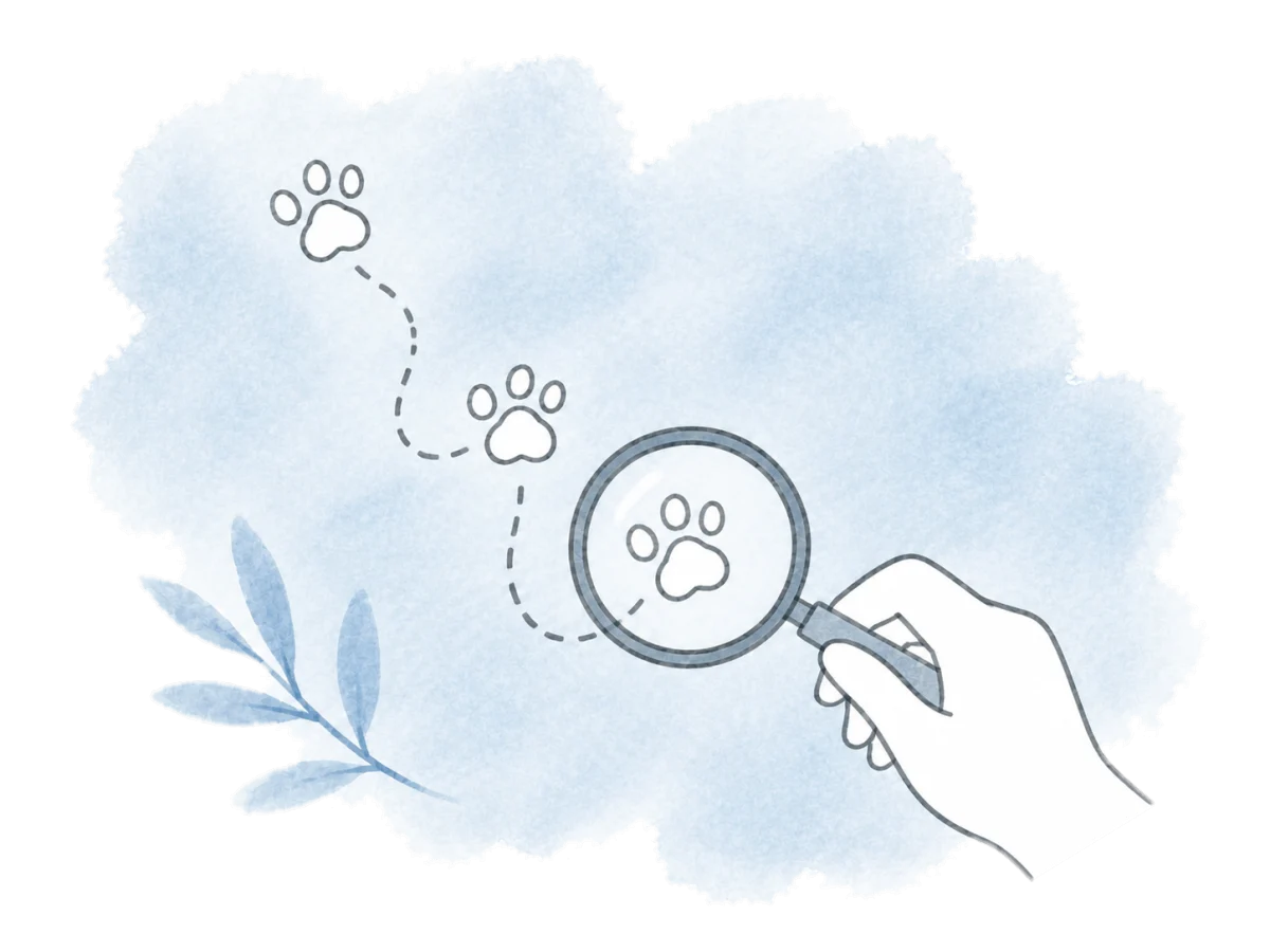 A hand follows a short trail of paw prints with a magnifying glass.