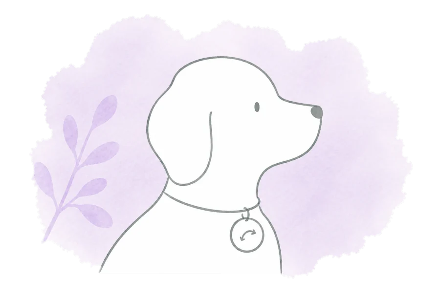 A dog's collar tag carries a small journey arrow.