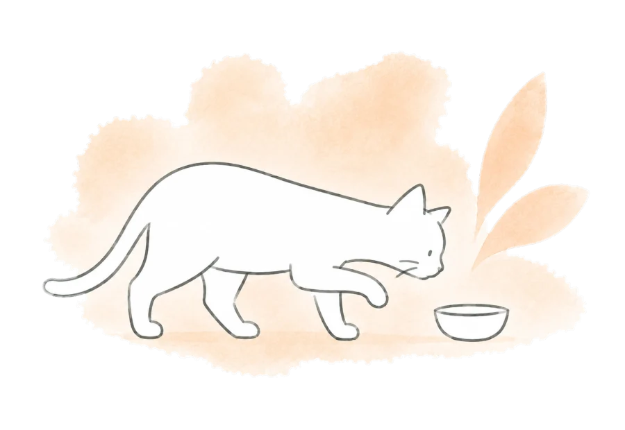 A cautious cat takes a small step toward a bowl.