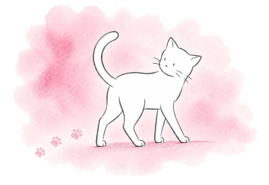 A cat looks back along its own trail of paw prints.