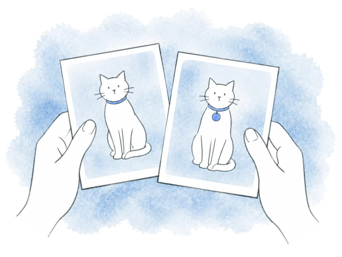 Hands compare two photos showing a cat before and after a collar tag was added.