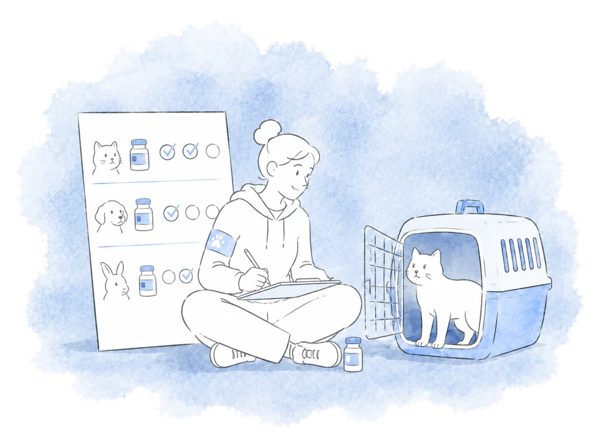 A volunteer records today’s medication doses beside a cat in its carrier.