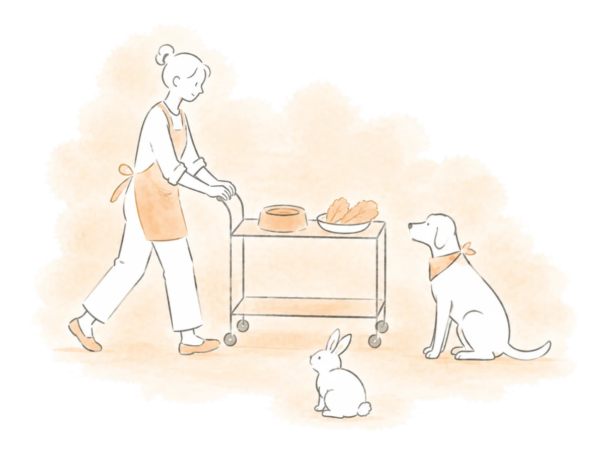 A volunteer brings different meals to a dog and a rabbit in one round.