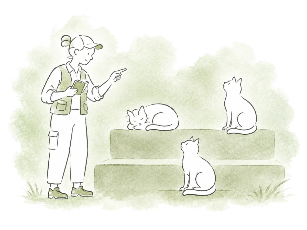 A field worker counts the cats at a colony site.