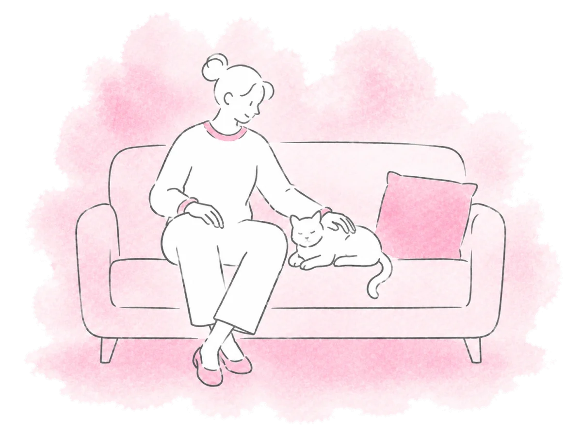 A foster carer settles a cat into a temporary home.
