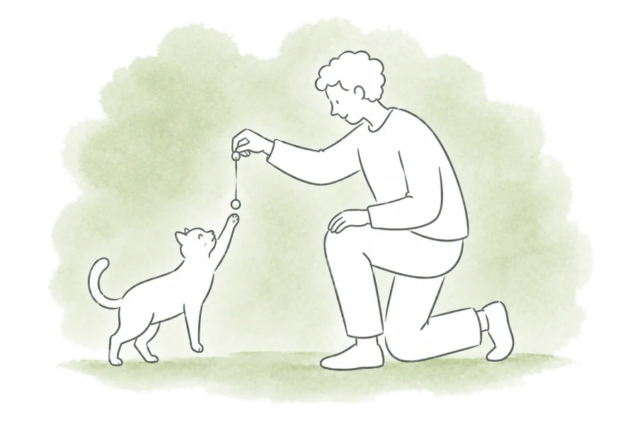 A kneeling volunteer plays with a cat using a simple dangling toy.