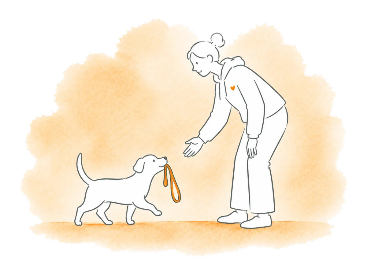 An eager dog brings its lead to a volunteer, ready for a walk.