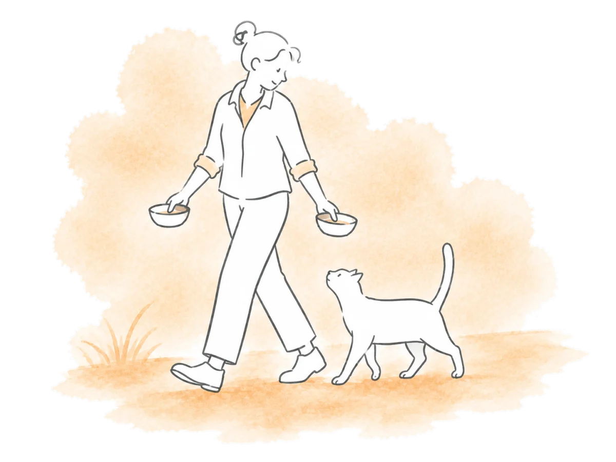 A volunteer carries feeding bowls while a colony cat follows the round.