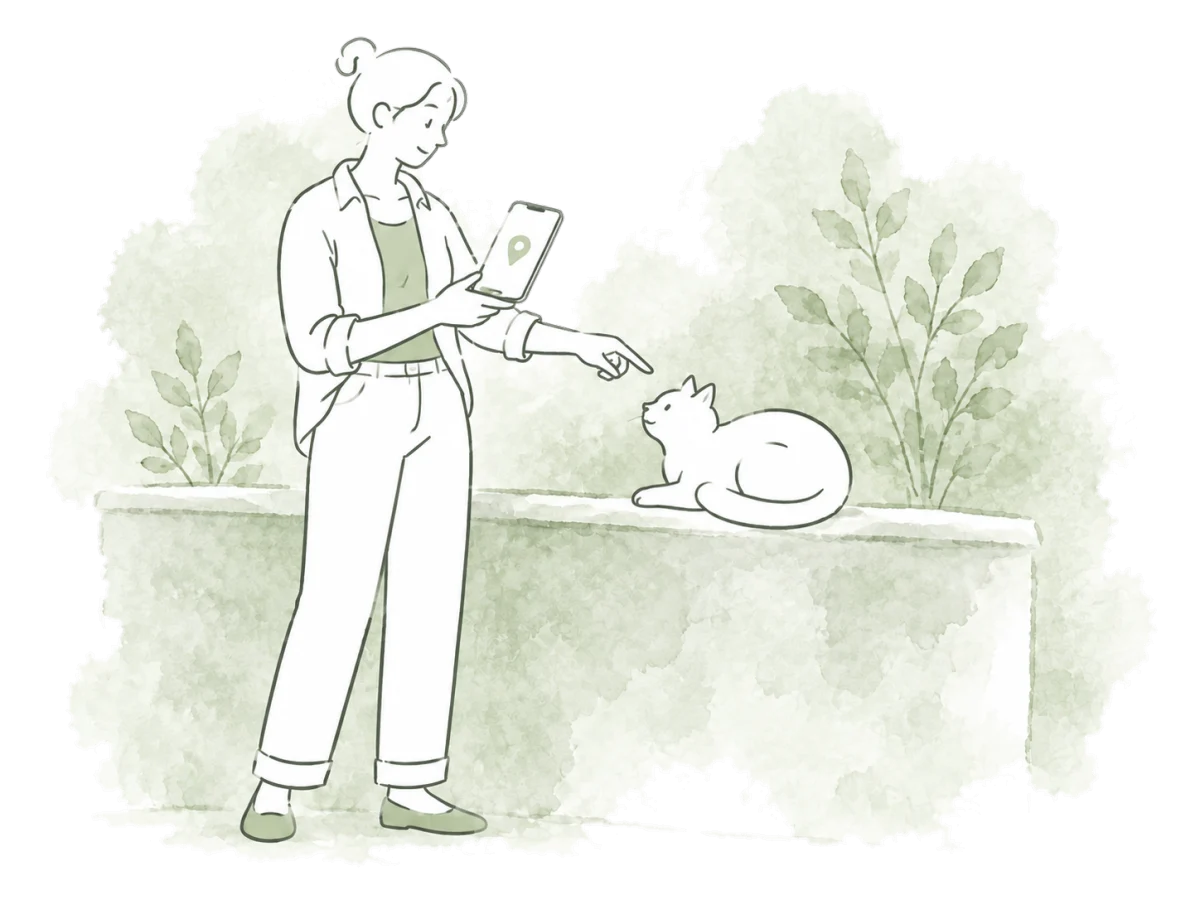 A volunteer marks a colony's location on a phone beside a cat resting on a low wall.