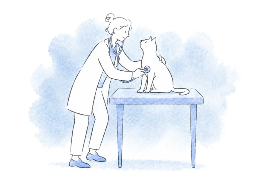 A vet gently examines a cat on a small table.
