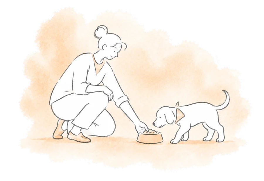 A volunteer crouches to set down a meal for an approaching dog.