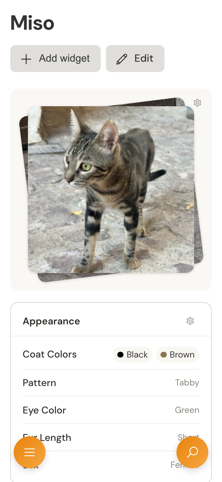 Miso’s profile on a mobile display, with the photo stack and appearance details.