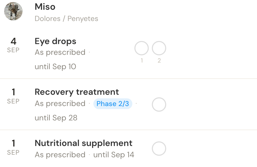 Miso’s medications for today, with separate dose checkboxes for eye drops, recovery treatment and a nutritional supplement.